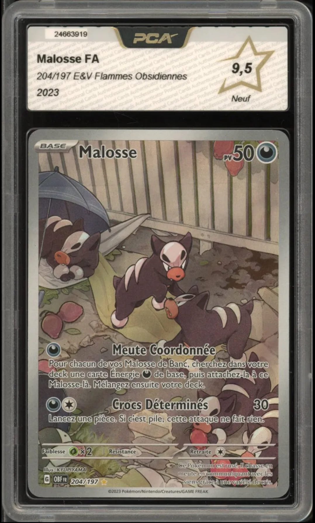 Malosse - Pokemon (Flammes Obsidiennes)