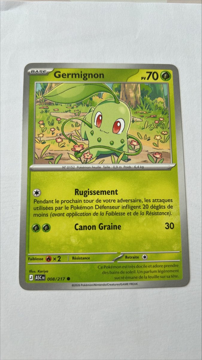 Germignon 8/217 Héros transcendants