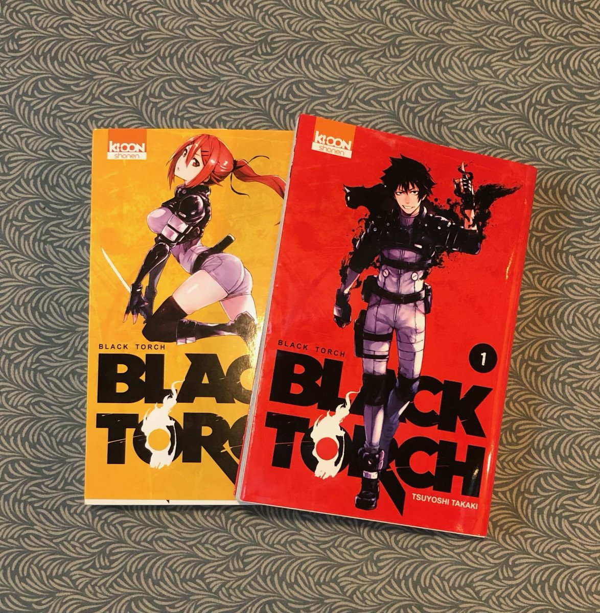 Black Torch tome 1 et 2