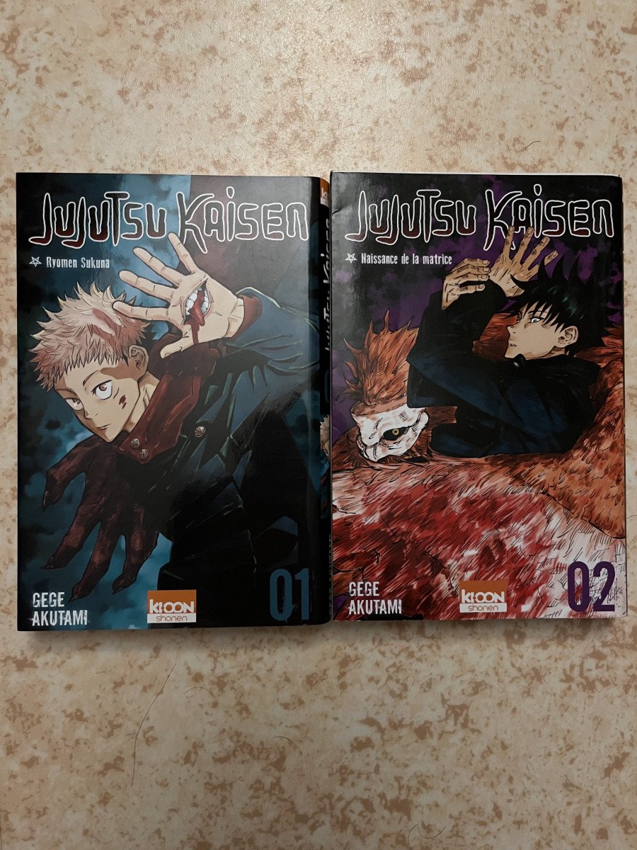 Vends lot de manga "Jujutsu Kaisen" tome 1 et 2