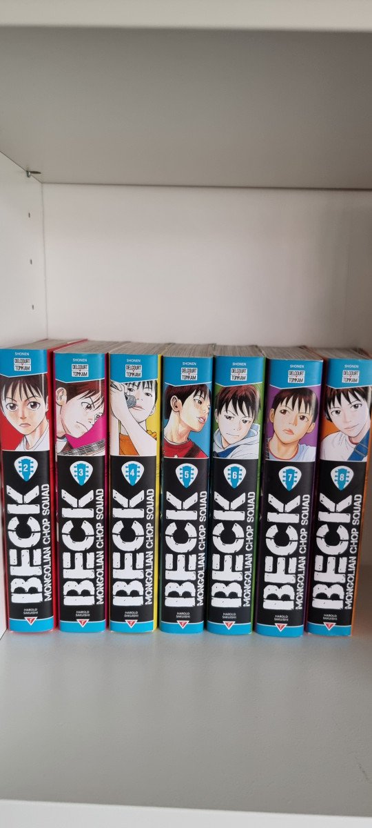 Manga Beck perfect édition