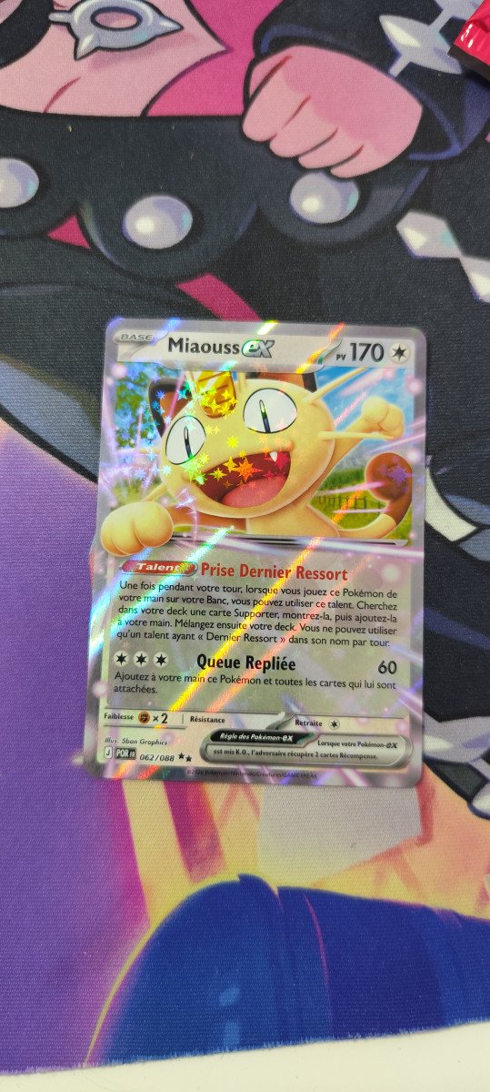 Carte Miaouss EX (POR 062)