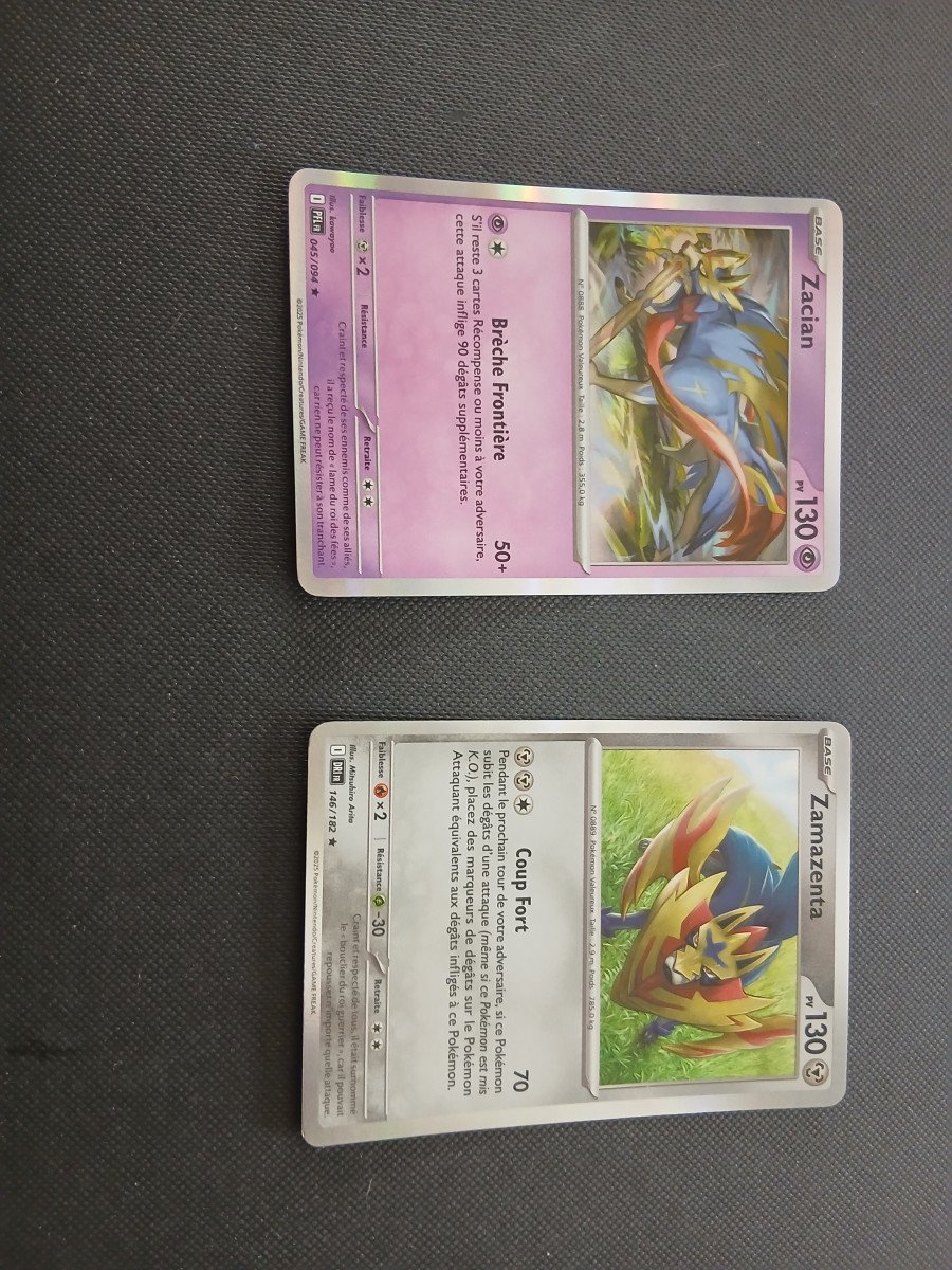 Lot duo zacian zamazenta