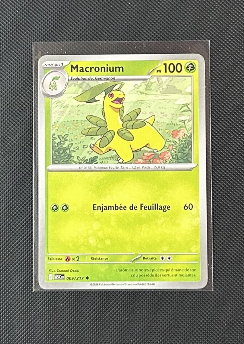 Carte Pokémon - Macronium 9/217 - Héros Transcendants