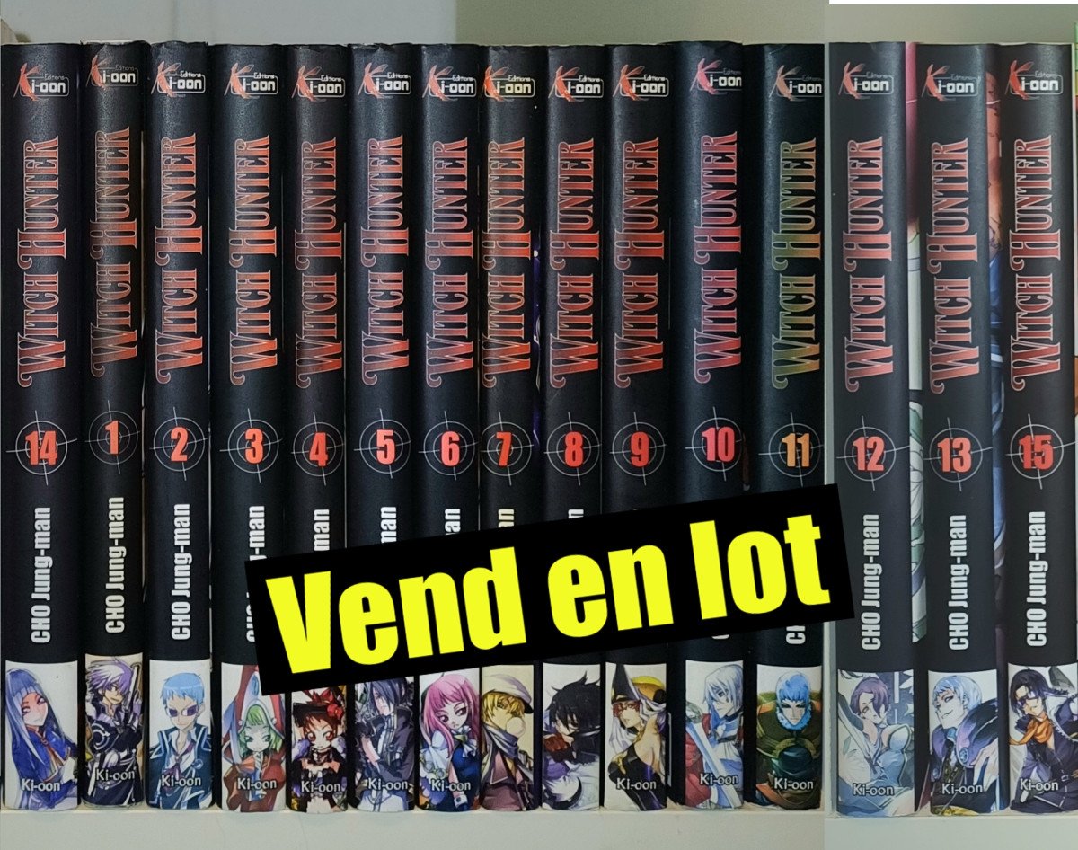 Witch hunter : 14 tomes (sur 25)