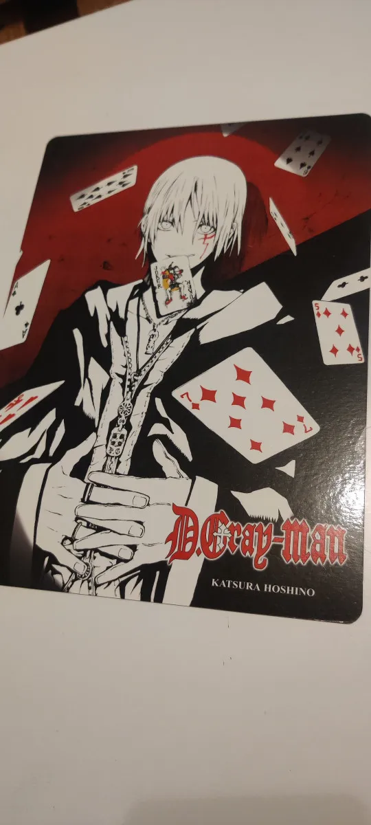 Shitajikis Recto Verso - D GRAY MAN