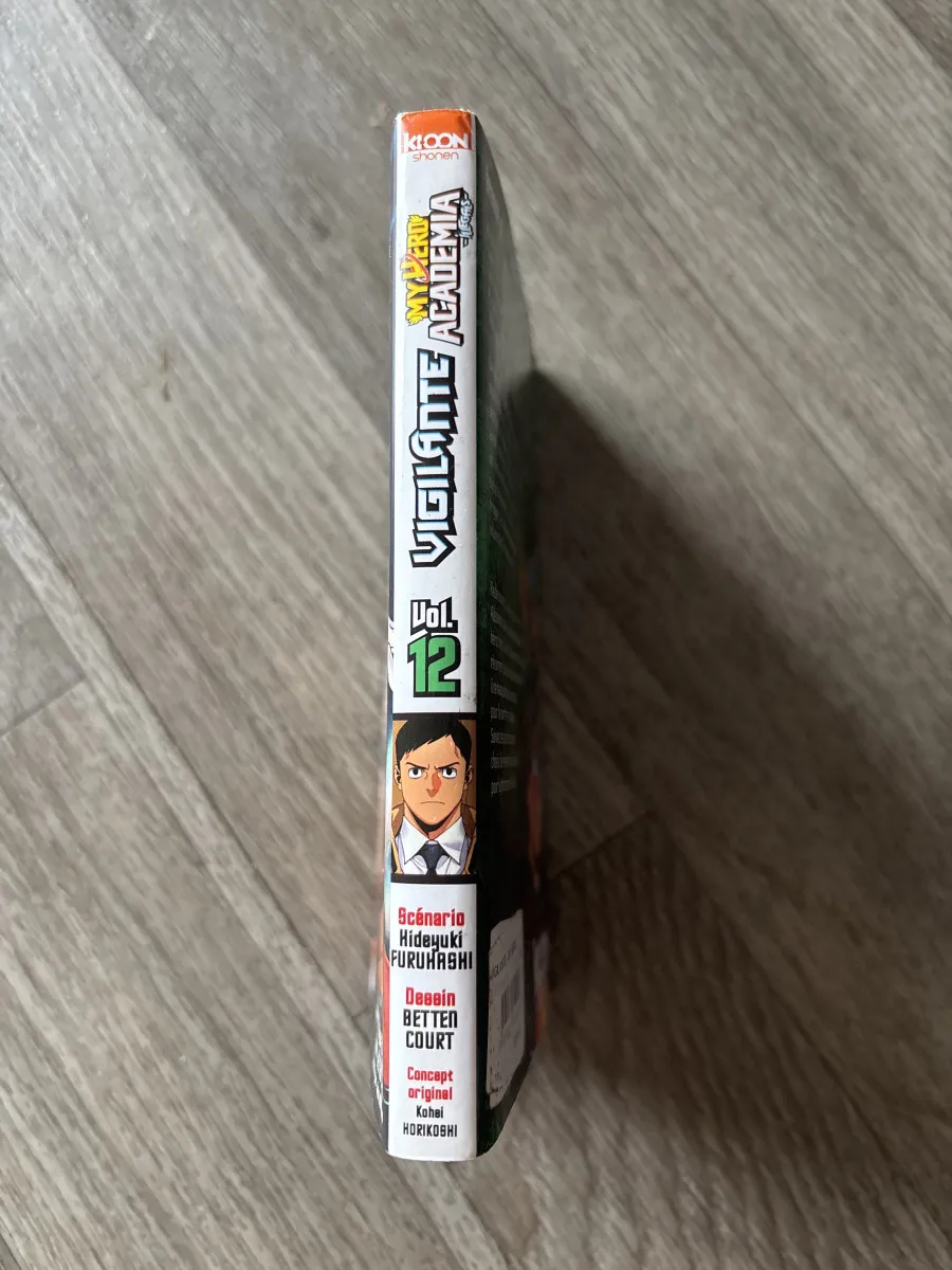 Manga vigilante my hero academia 12
