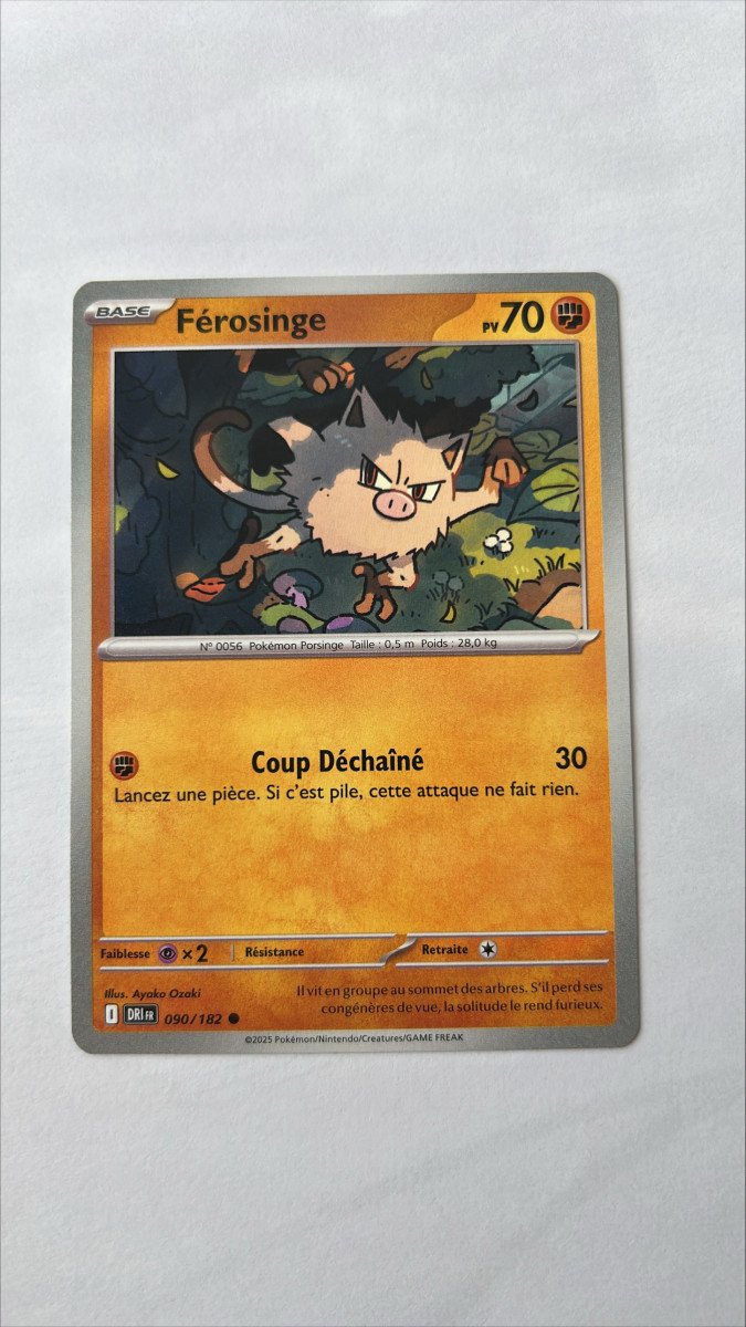 Férosinge 90/182 Rivalités destinées