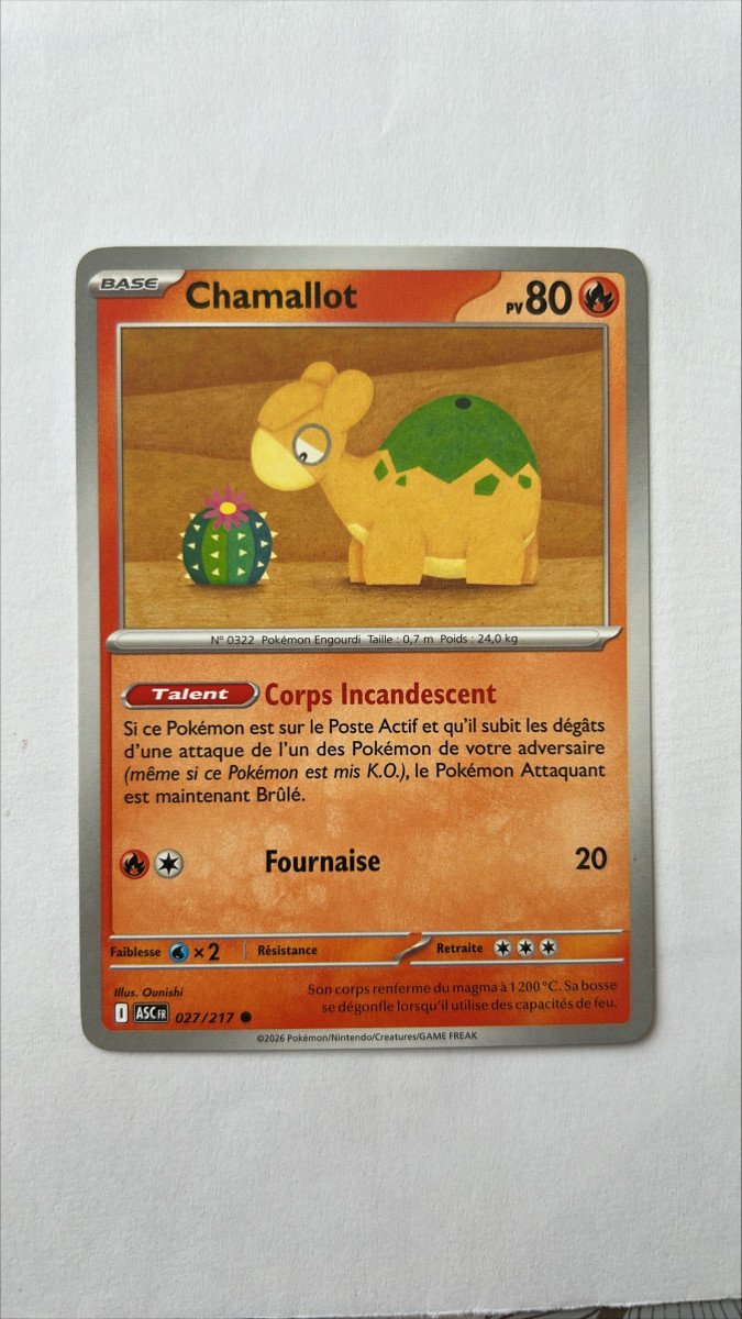 Chamallot 27/217 Héros transcendants