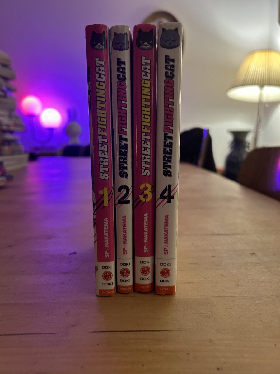 Intégral street fighting cat