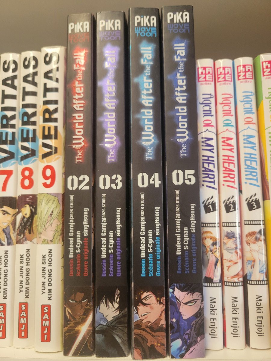 manga the world after the fall