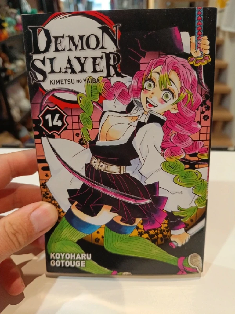 Demon Slayer tome 14