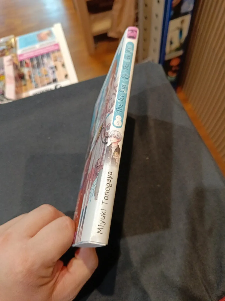 The ice guy & the cool girl tome 6