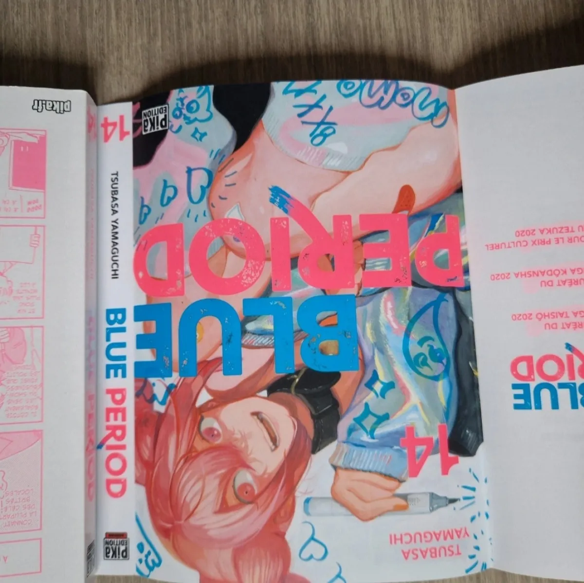 Tome 1 à 14 de blue period sans tome 13.