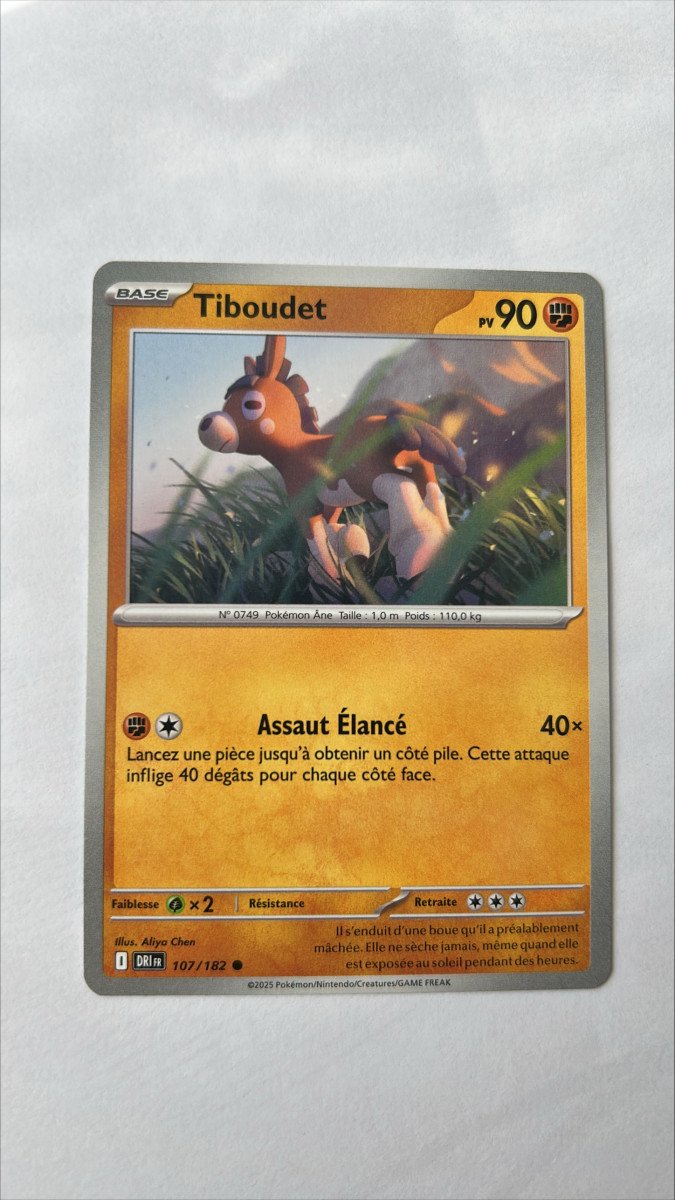 Tiboudet 107/182 Rivalités destinées