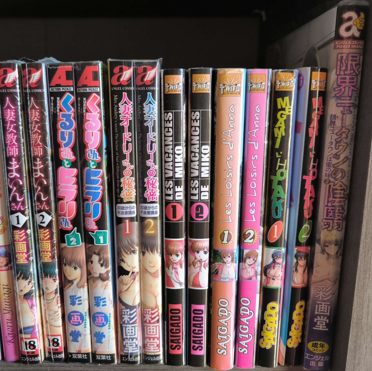 Lot de mangas Saigado FR/JAP
