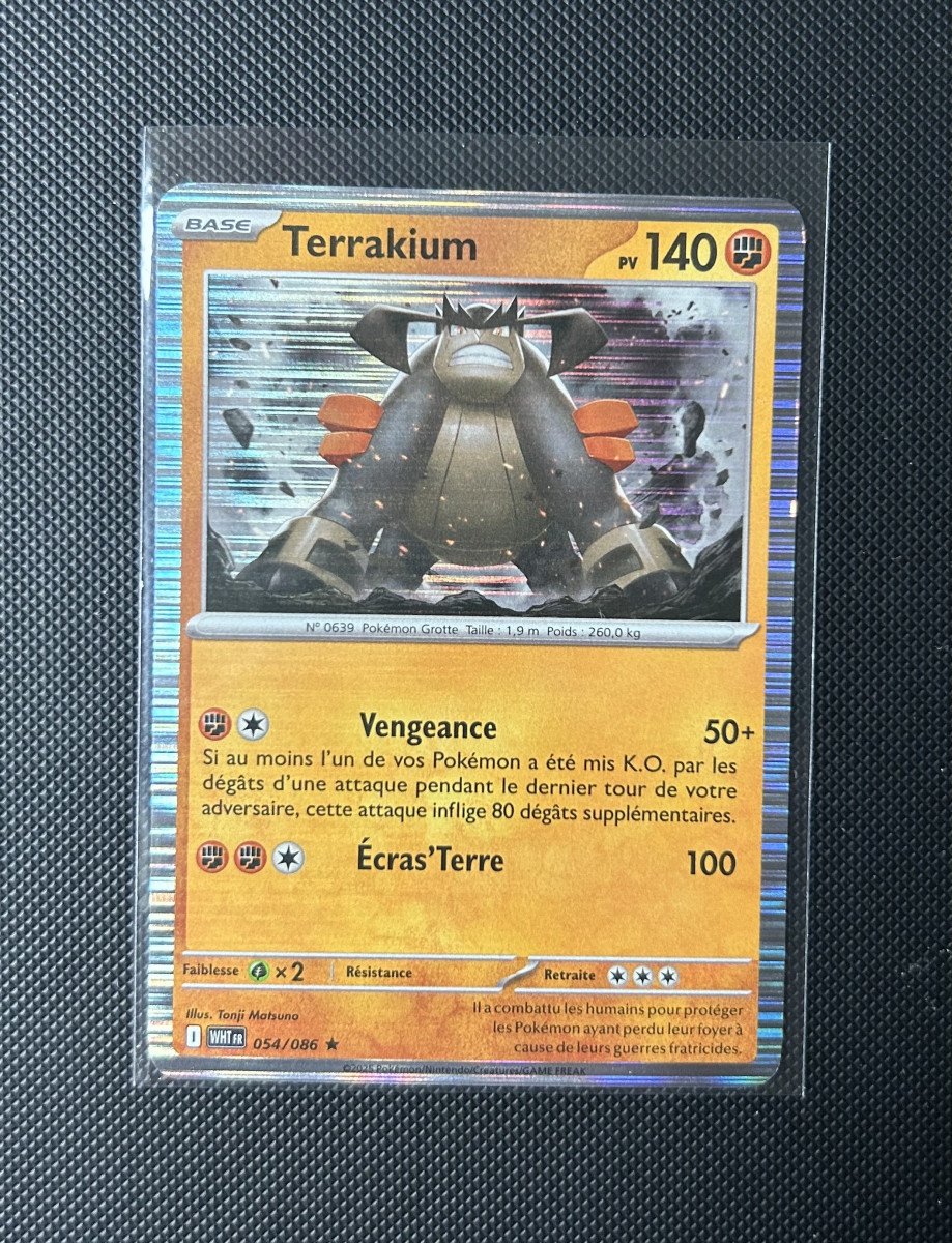Carte Pokémon - Terrakium 54/86 - Holo Ligne - Flamme Blanche