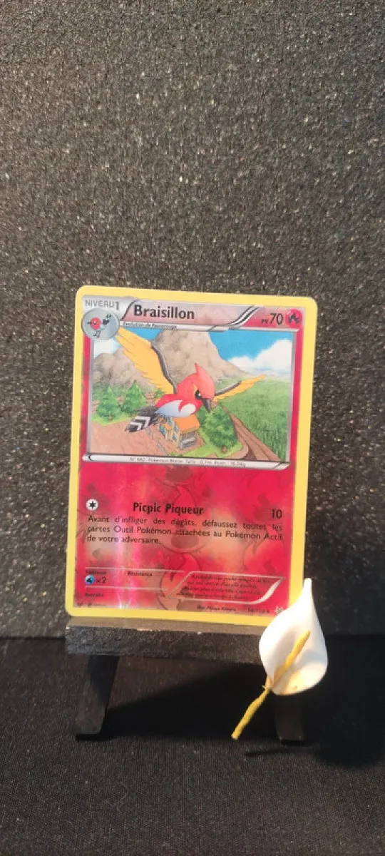 Carte pokémon Reverse, Braisillon, xy : ciel rugissant