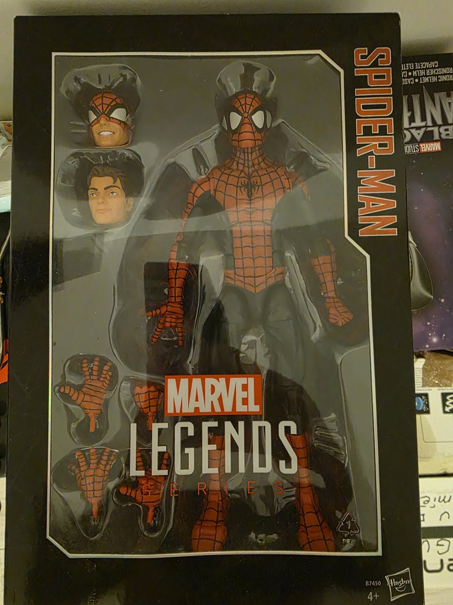 Marvel Legends Series Spider-Man (Hasbro