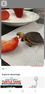 Photo de profil de : Mimiloxxx