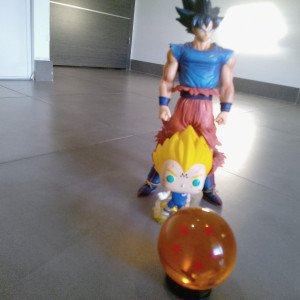 Photo de profil de : carte Pokémon30100