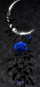 Photo de profil de : HarueNova