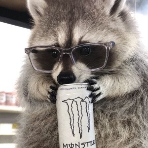 Photo de profil de : Lylys