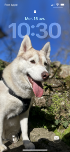 Photo de profil de : Lucas59