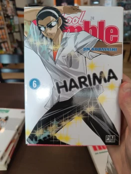 School rumble tome 6