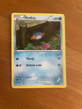Pokémon Mudkip