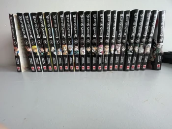 Serie complète demon slayer