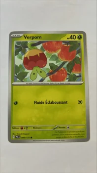 Verpom 9/131 Evolutions prismatiques