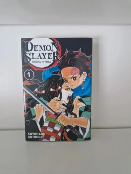 Tome 1 Demon Slayer