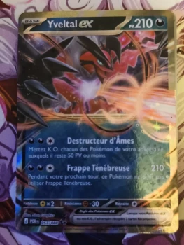 Lot de cartes Pokémon, Yveltal ex+11 cartes