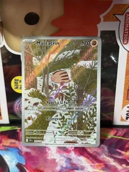 Pokémon Marcacrin 165/159 EV.09 - Aventures Ensembles