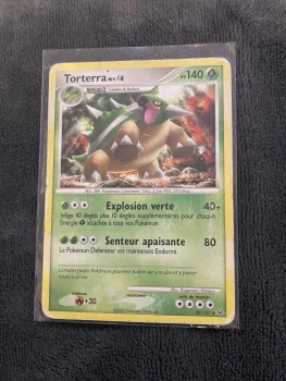 Carte Pokémon