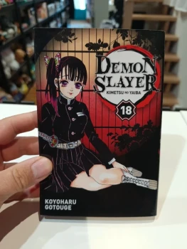 Demon Slayer tome 18