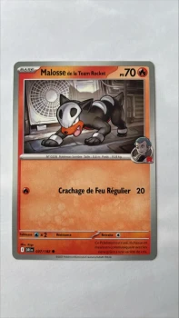 Malosse de la team rocket 37/182 Rivalités destinées