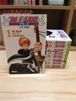 Bleach - t.1 à 9