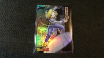 Carte Dragon Ball, Collection Skill Cards 2008 Bandai, N°M18 Holo FA