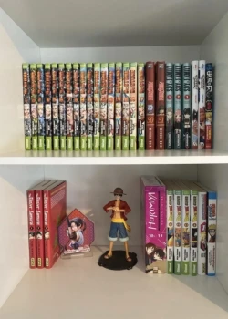 Lot de mangas pas cher