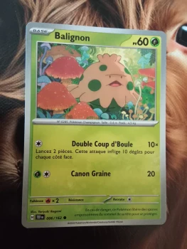 Je vends des cartes Pokémon