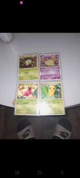 Carte pokemon japonais