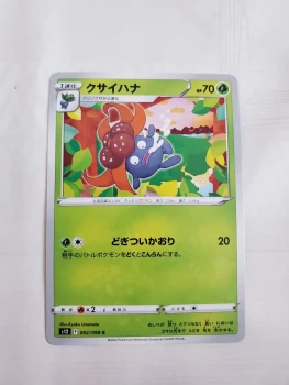 Carte pokemon