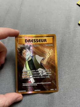 carte pokémon dresseur full art