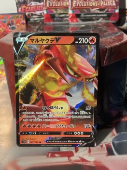 Carte Pokémon - solocendre V 027/190