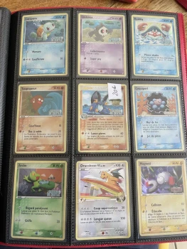 Carte Pokémon