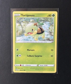 Carte Pokémon - Tortipouss 6/172 - Stars Étincelantes