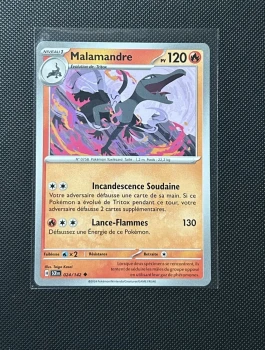 Carte Pokémon - Malamandre 24/142 - Couronne Stellaire