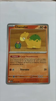 Chamallot 27/217 Héros transcendants